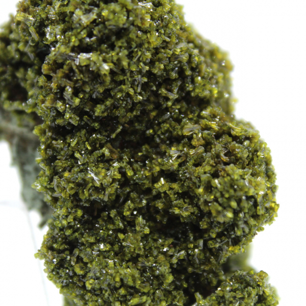 Cristales de epidota de Marruecos sobre matriz beige