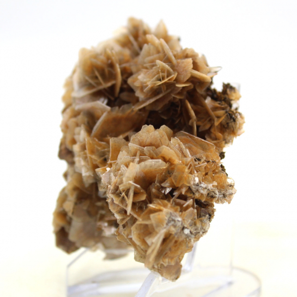 Barita marroquí con una estructura fina