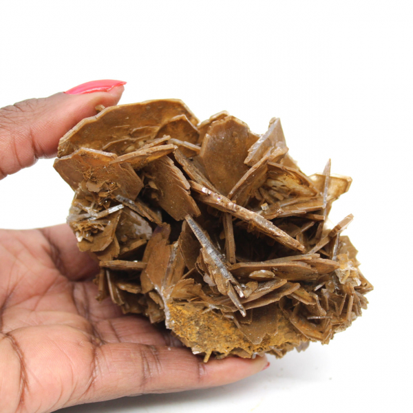 Cristalización marrón de barita de Marruecos