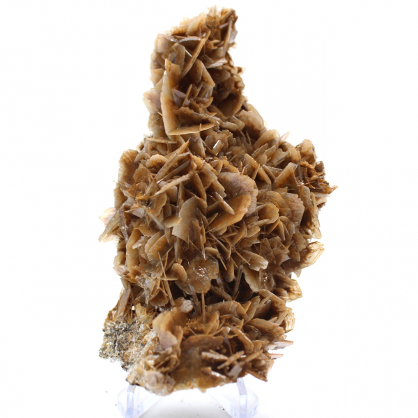 Moneda marroquí de barita con cristales marrones