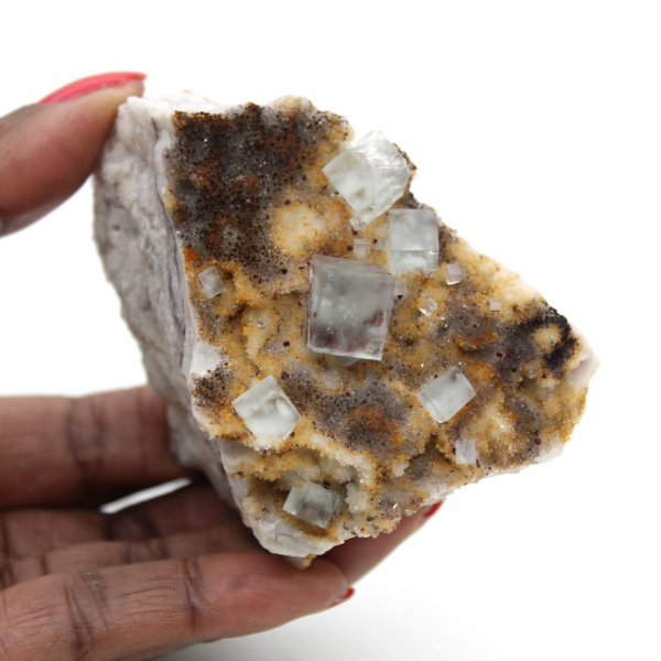 Fluorita verde de coleccionista: Pequeño ejemplar sobre matriz