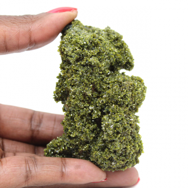 Cristales de epidota de Marruecos sobre matriz beige