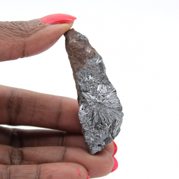 Pirolusita, una roca mineral en miniatura procedente de Marruecos