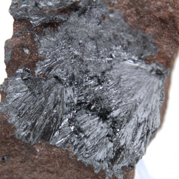 Pequeña pirolusita cristalizada en matriz auténtica