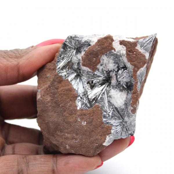 Pirolusita, Ejemplar Mineralógico con Matriz