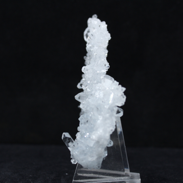 Fragmento de Celestina: pequeño ejemplar de Madagascar