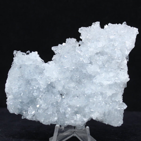 Fragmento de Celestina: pequeño ejemplar de Madagascar