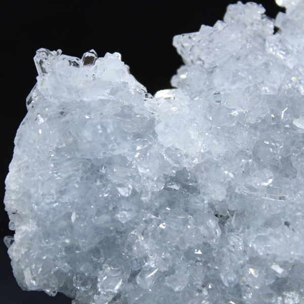 Fragmento de Celestina: pequeño ejemplar de Madagascar