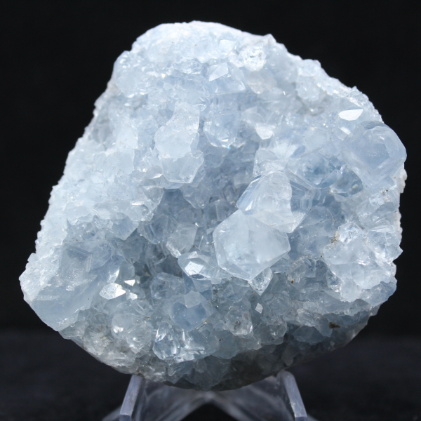 Celestina de Madagascar: Drusa y cúmulo de cristales