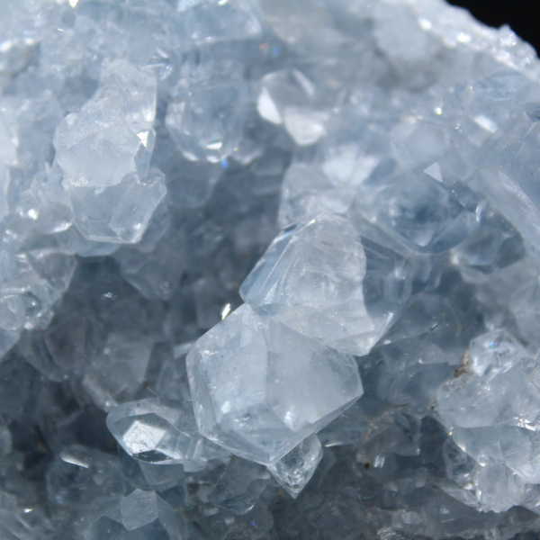 Celestina de Madagascar: Drusa y cúmulo de cristales