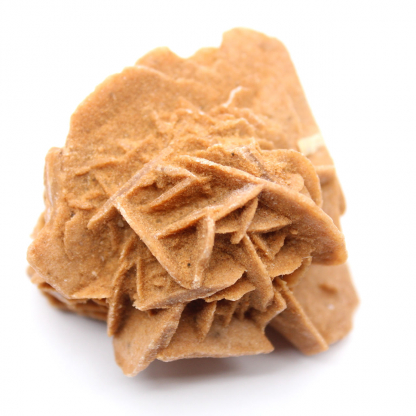 Cristales de rosa del desierto marroquí para colecciones mineralógicas