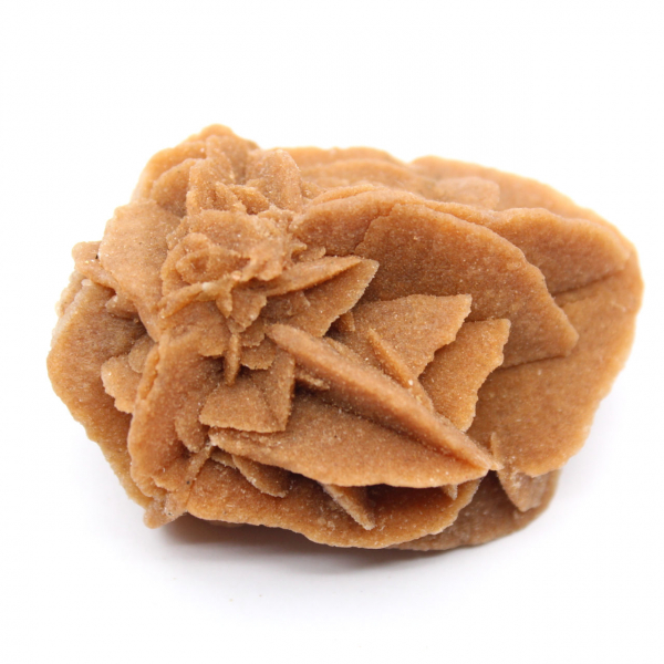 Formación Rosa del Desierto de Marruecos: Yeso de Colección