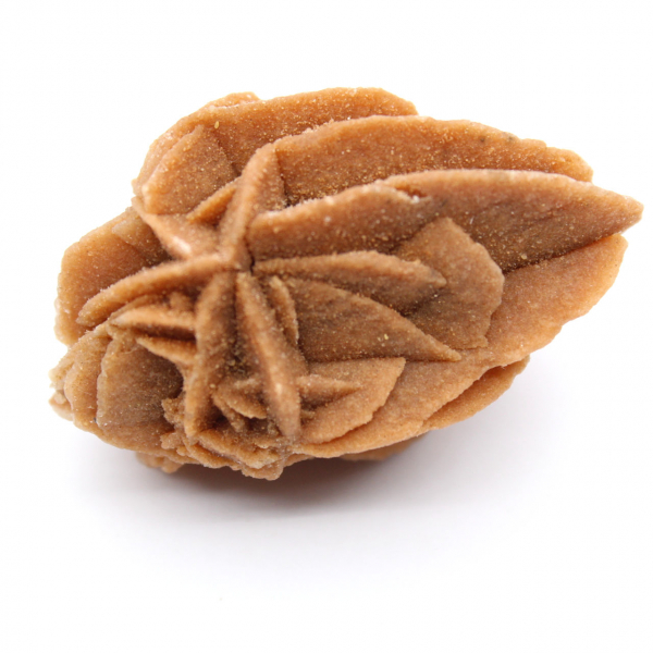 Formación Rosa del Desierto de Marruecos: Yeso de Colección