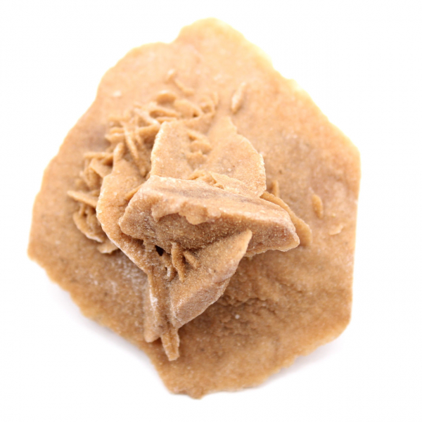 Roseta de yeso de Marruecos: cristal natural del Sahara