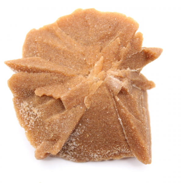 Pequeño fragmento de Rosa del Desierto: un mineral procedente de Marruecos