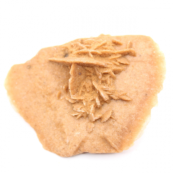 Rosa del desierto marroquí clara: cristalización fina