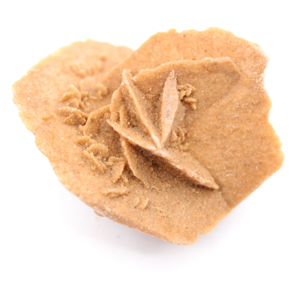 Rosa del desierto marroquí: yeso natural y estético