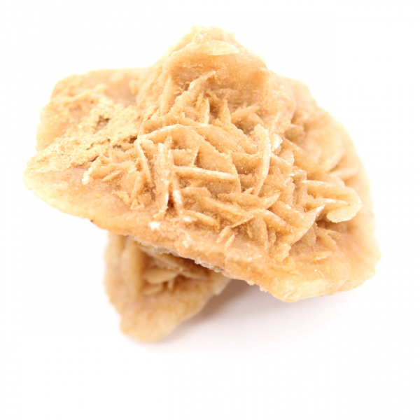 Rosa del desierto marroquí: una enorme roseta de colección