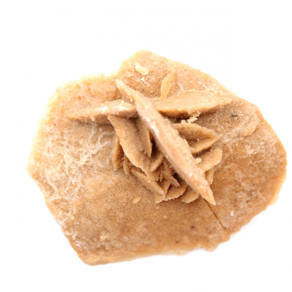 Roseta mineral de Marruecos: cristalización de yeso