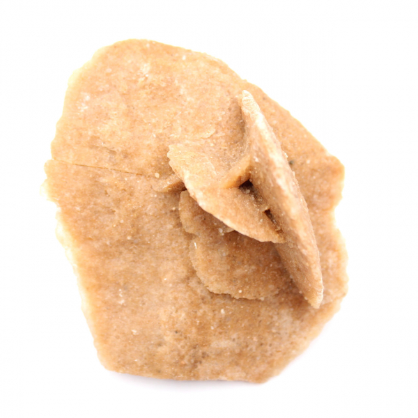 Roseta mineral de Marruecos: cristalización de yeso