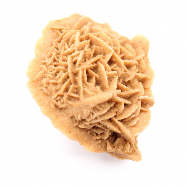 Ejemplar de rosa del desierto marroquí: cristalización densa