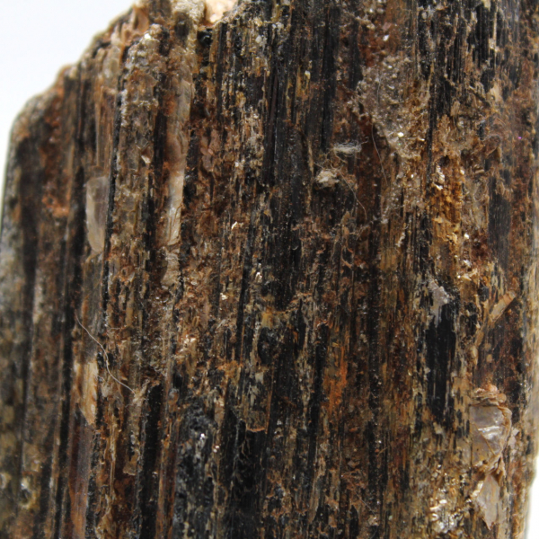 Turmalina negra de Madagascar - Ejemplar de estudio