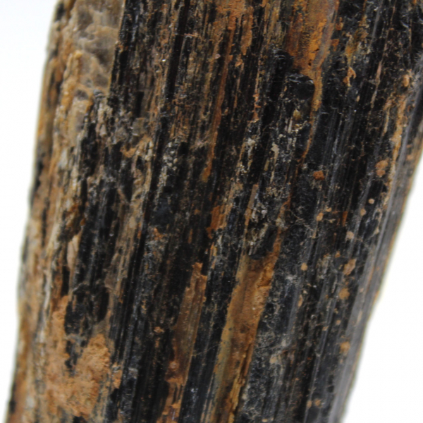 Turmalina negra en bruto de Madagascar - Tabletop Rock