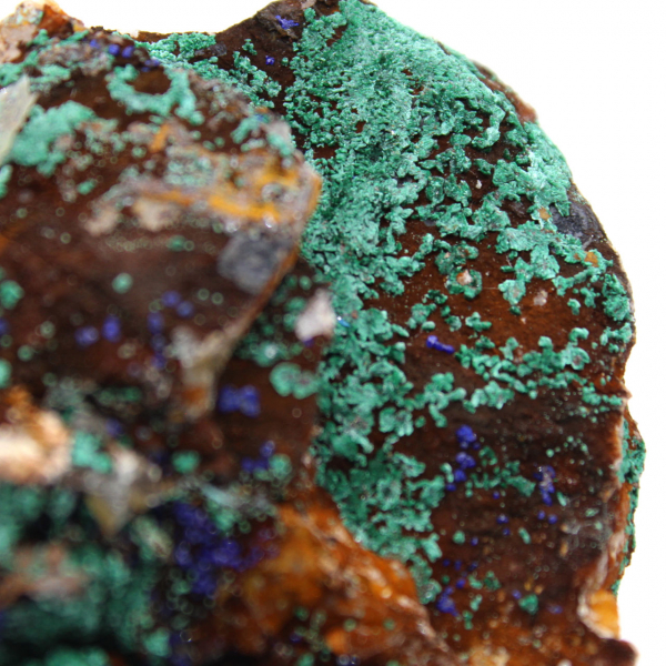 Dúo de azurita y malaquita en matriz