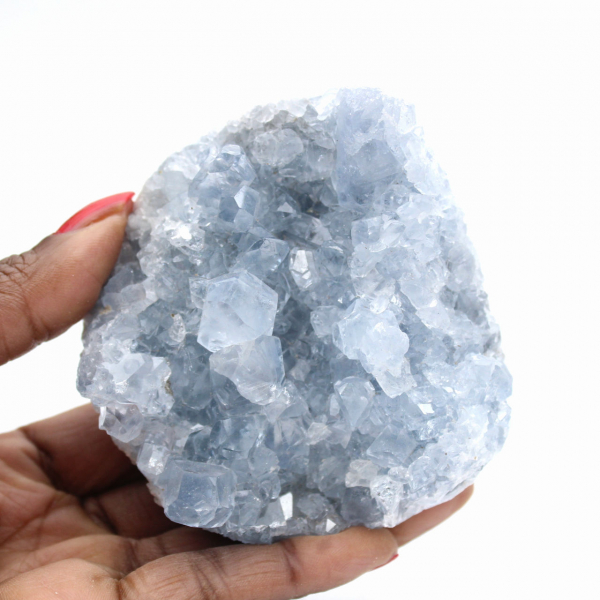 Celestina de Madagascar: Drusa y cúmulo de cristales