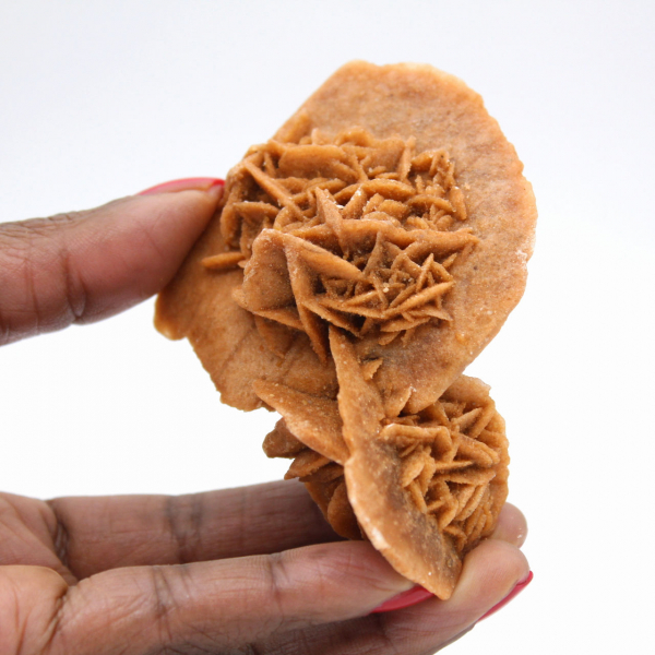 Rosa del desierto de Marruecos: un ejemplar de cristalización natural