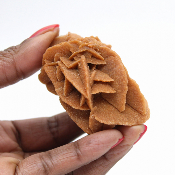 Formación Rosa del Desierto de Marruecos: Yeso de Colección