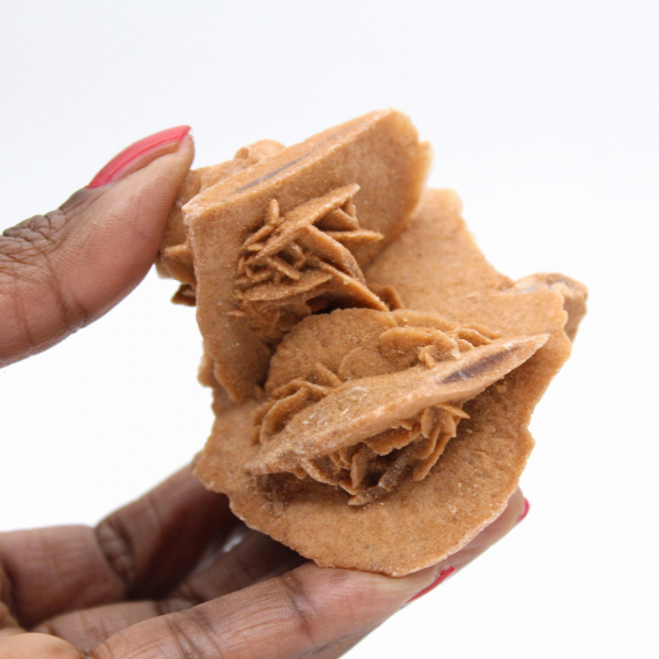 Rosa del desierto marroquí: formación cristalina equilibrada