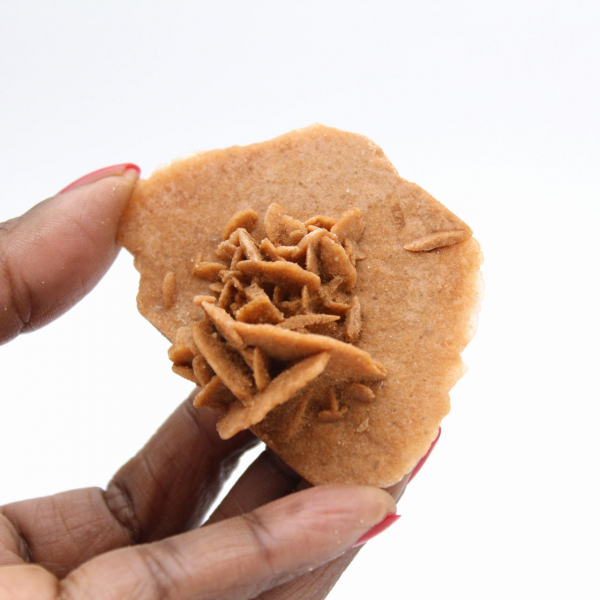 Rosa del desierto marroquí clara: cristalización fina