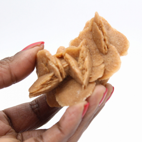 Ejemplar de yeso cristalizado: Rosa del desierto de Marruecos