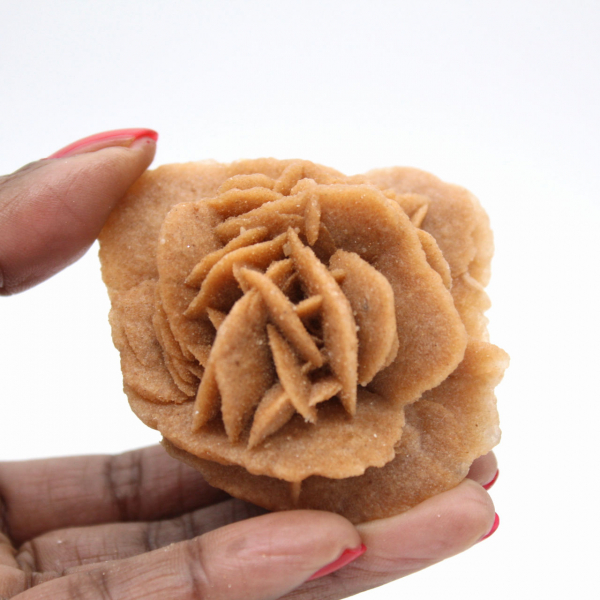 Rosa del desierto marroquí: ramo de yeso natural