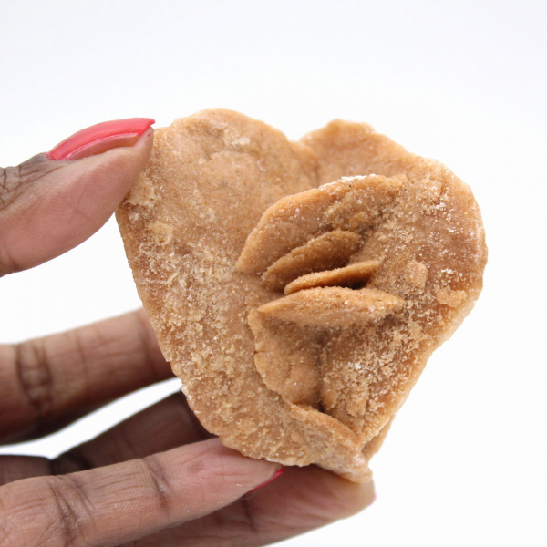 Rosa del desierto de Marruecos: los delicados cristales de yeso