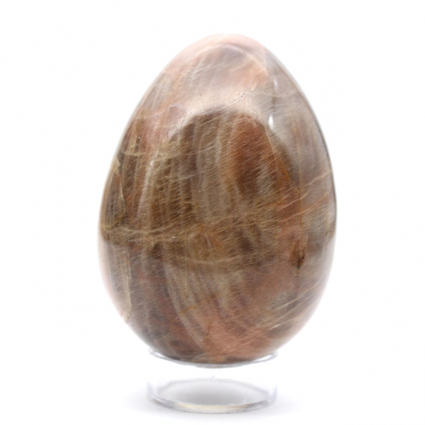 Huevo de piedra lunar negra de Madagascar (355 g)