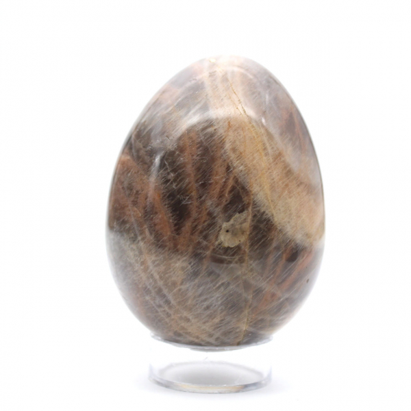 Huevo de microclina de piedra lunar negra