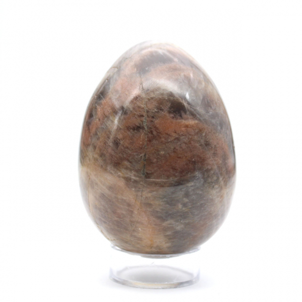 Huevo de microclina de piedra lunar negra