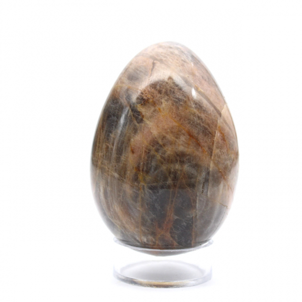 Microclina Madagascar Negra - Huevo 195g