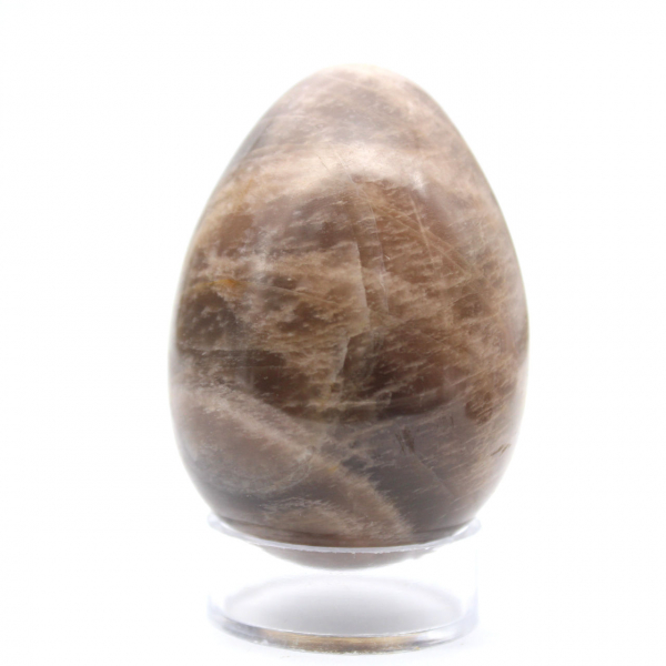 Huevo de piedra lunar negra 135 g