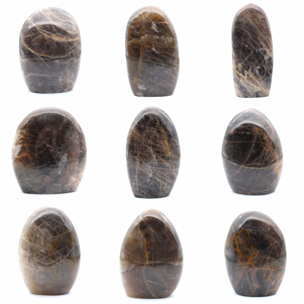 Microclina ornamental