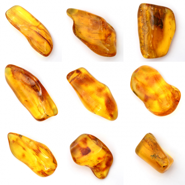 Piedra de ámbar amarillo de Lituania para la recolección de fósiles