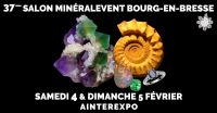 37º Evento Mineral Bourg-en-Bresse