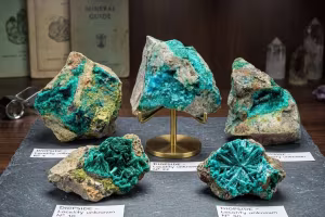 Dioptasa