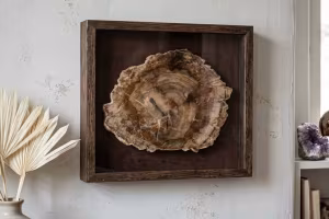 Madera petrificada