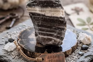 jaspe cebra
