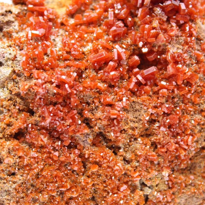 Descubra la vanadinita vanadinite maroc 049