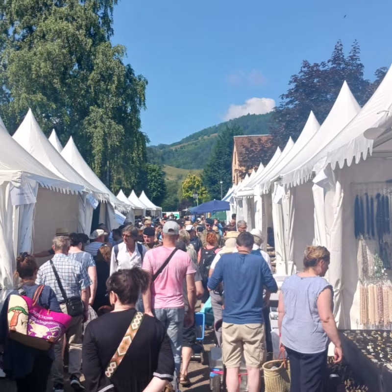Mineral & Gem 2025: una gran exposición mineralógica internacional allee smam 2025 2