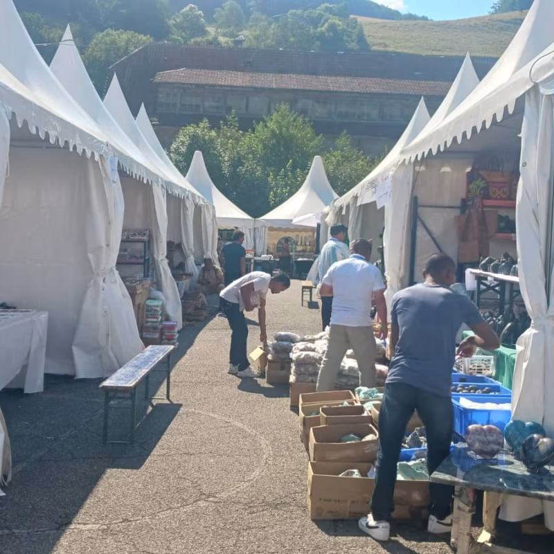 Mineral & Gem 2025: una gran exposición mineralógica internacional allee smam 2025 6